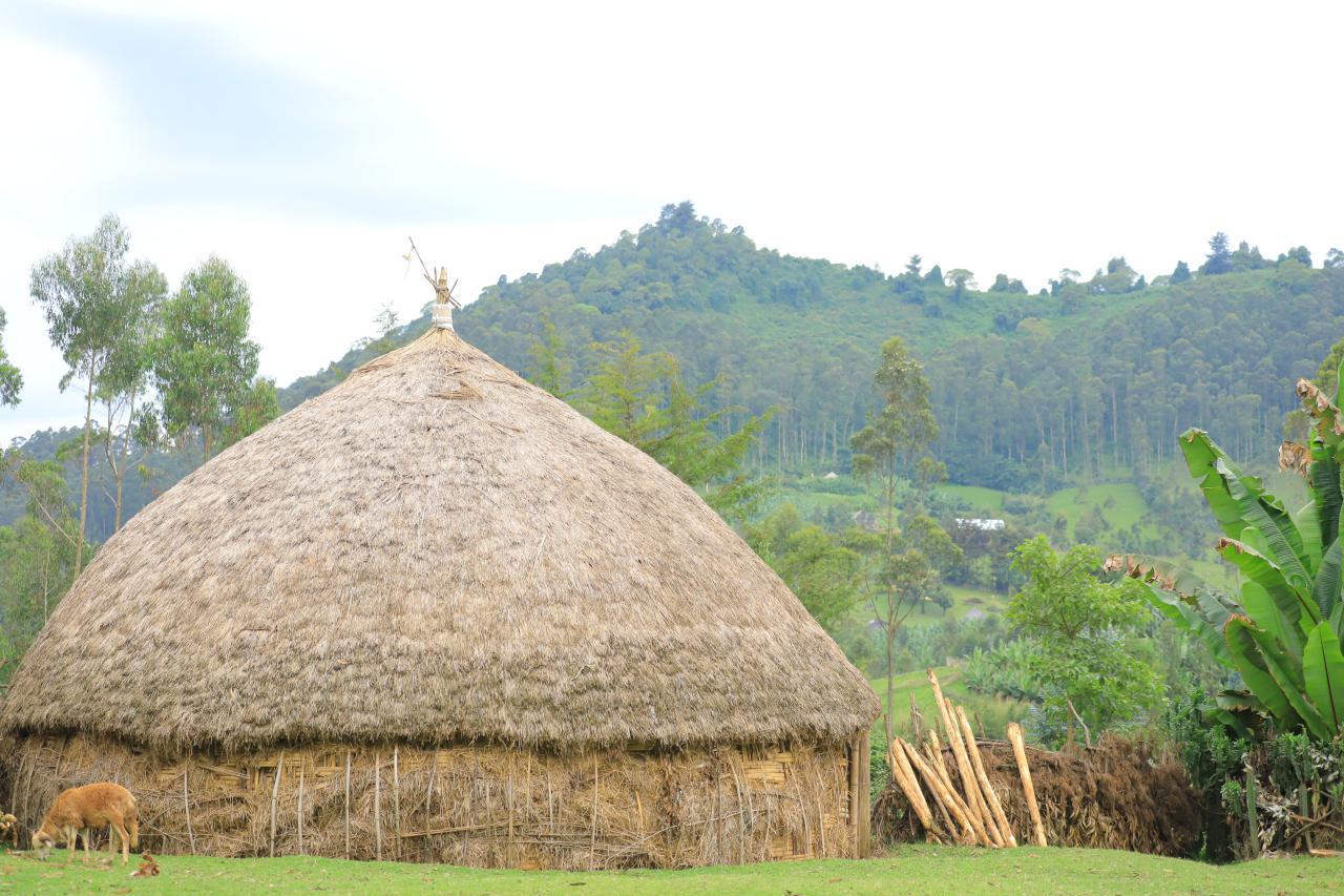 Mount Hafursa with Cultural sidama house