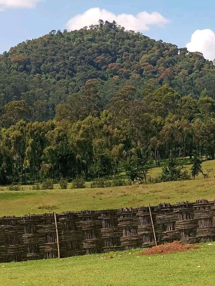 IMG_20251022_151452_009