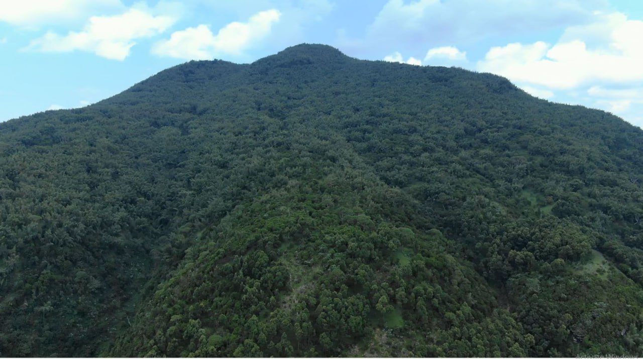Mount Garamba image