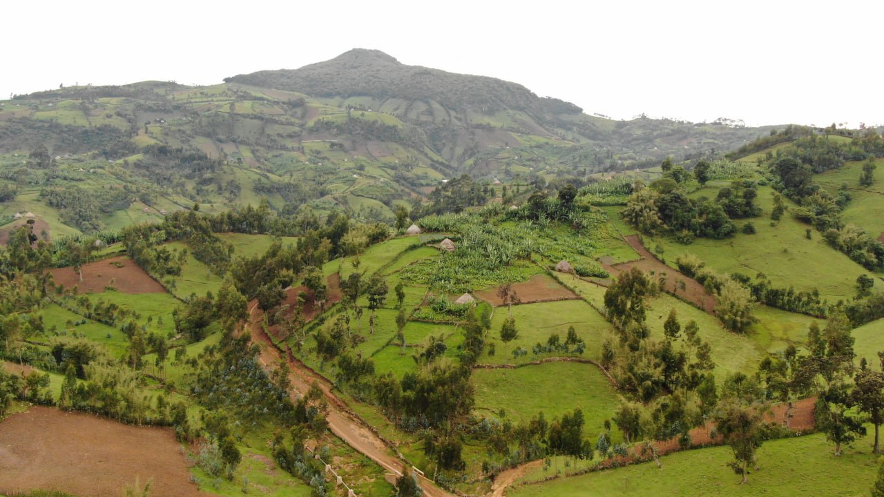 Mount Garamba