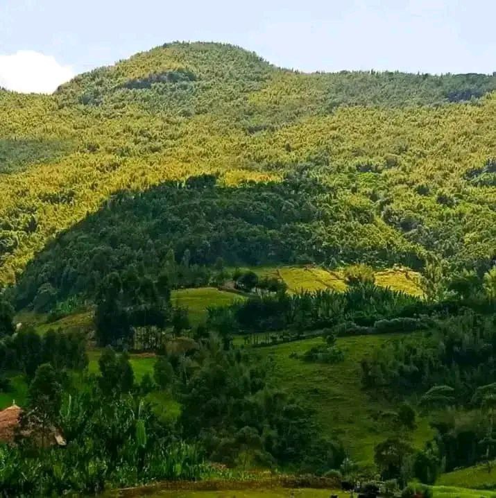 IMG_20251202_143939_658