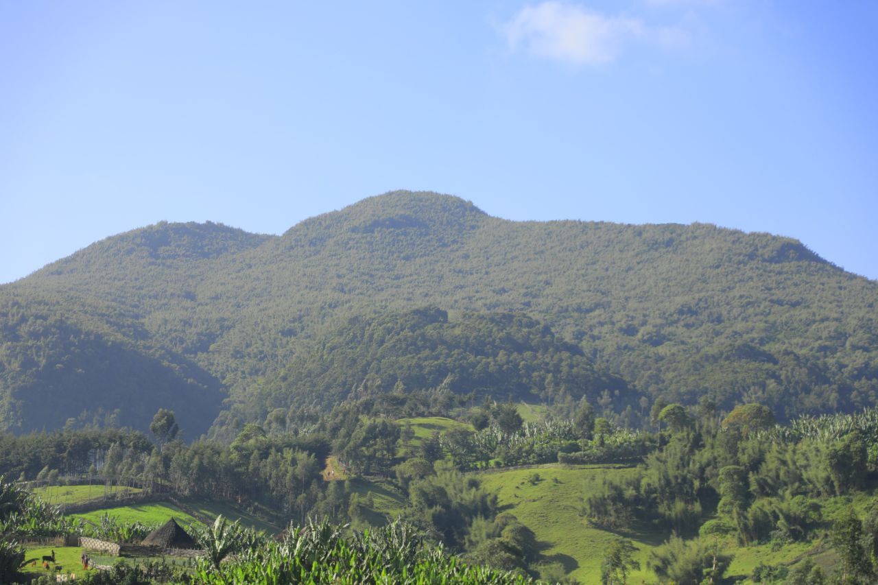 IMG_20251202_143940_277