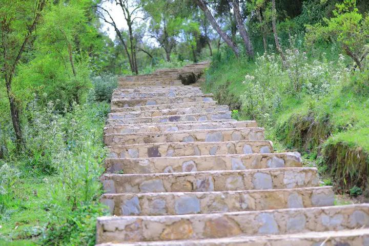 IMG_20251202_143940_312