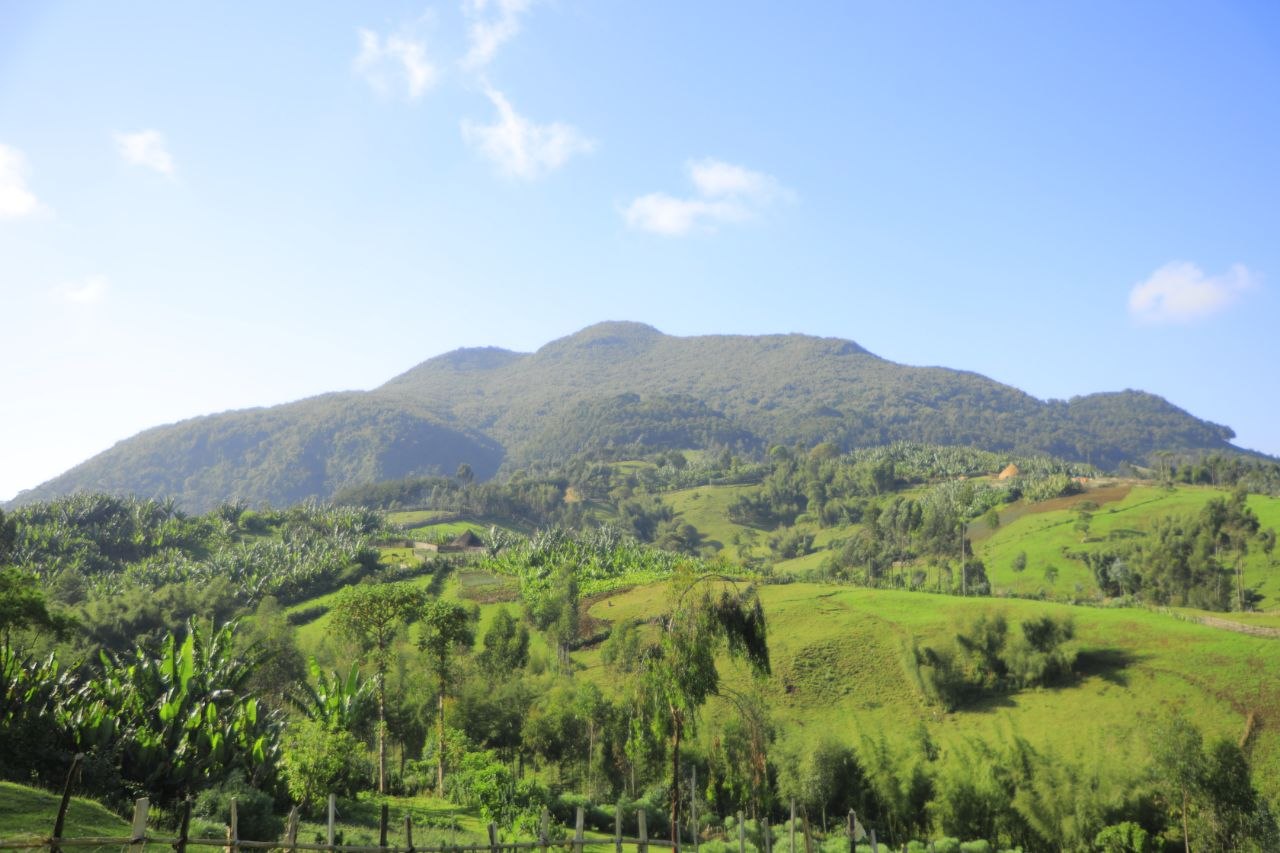 IMG_20251202_143940_482