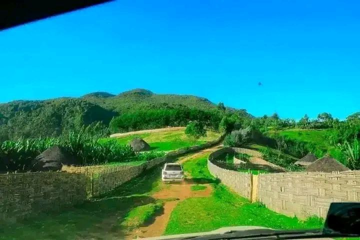 IMG_20251202_143940_490